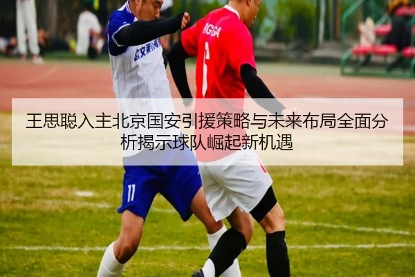 王思聪入主北京国安引援策略与未来布局全面分析揭示球队崛起新机遇